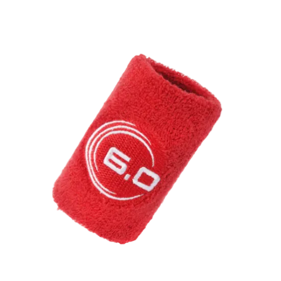 Six Zero Wrist Band