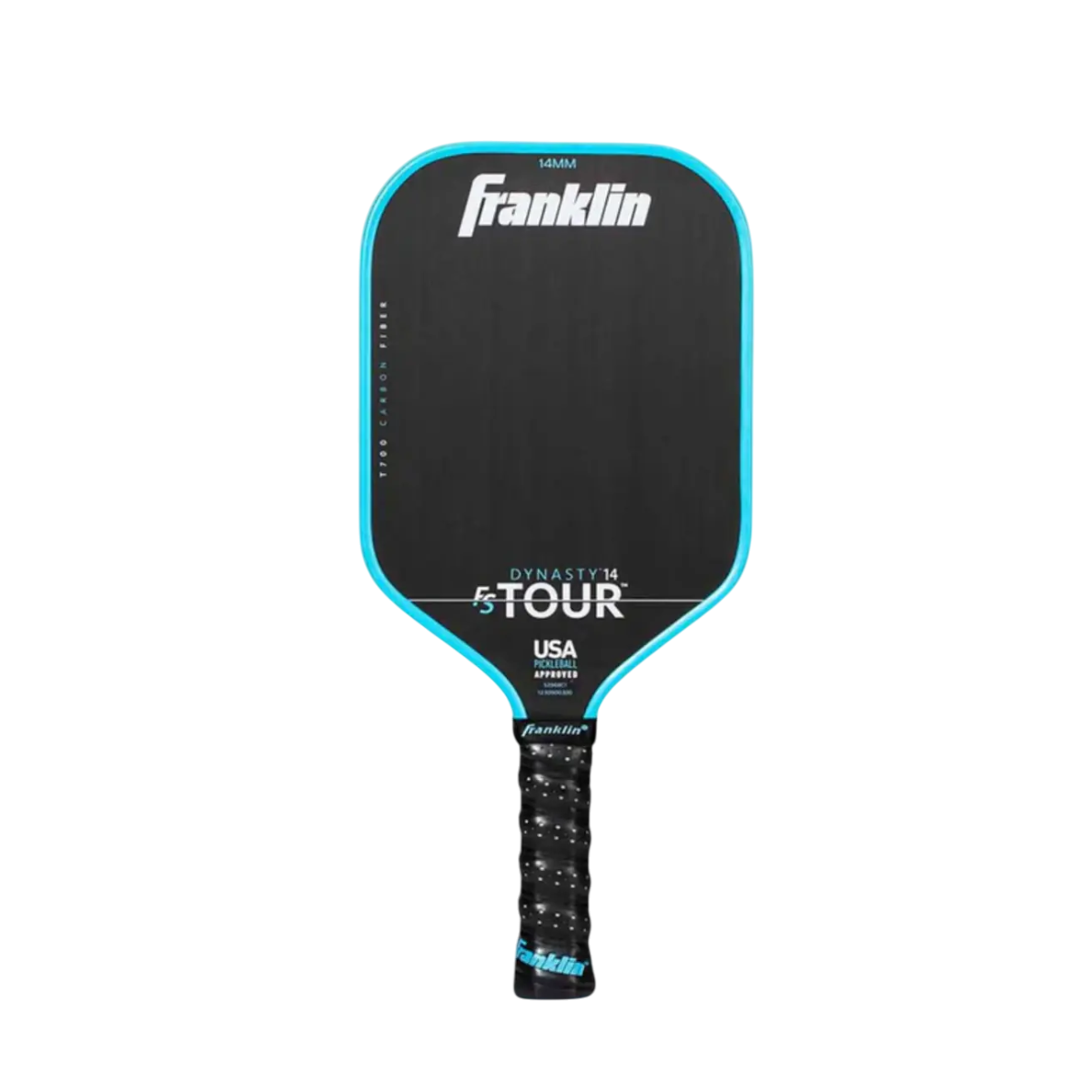 FS Tour Dynasty